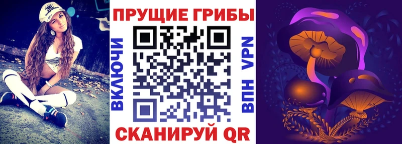 Галлюциногенные грибы MAGIC MUSHROOMS  мега как войти  Данилов 